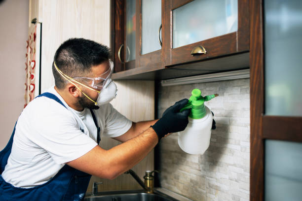 Best Bed Bug Extermination  in Iroquois Point, HI