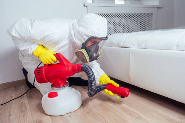 Best Best Pest Control Companies  in Iroquois Point, HI