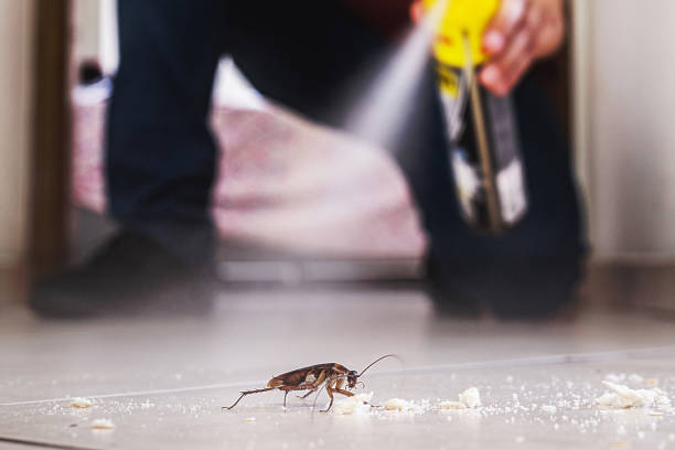 Wildlife Control Services in Iroquois Point, HI